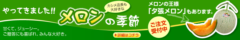 �k�C���̃������I��������t��