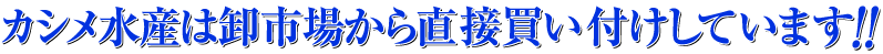 �J�V�����Y�͉�����s�ꂩ�璼�ڔ����t�����Ă��܂��I
